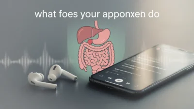 what does your appendix do